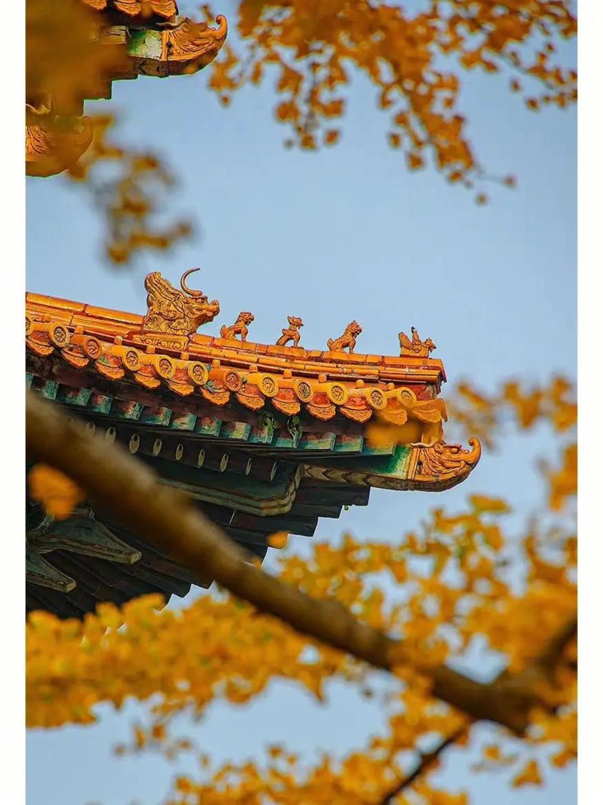 Hotel Jingfang Building Smart Hotel - Located In The Busiest Area Of The City Center, Close To Tiananmen Square And The Forbidden City, Wangfujing Shopping Street, Newly Opened Hotel, 3 Minutes Walk To Wangfujing St Ation On Line 1 Beijing